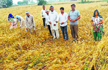 25,000 Mathura farmers want to commit suicide on Independence Day